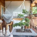 nico's house, nico's house lembongan, nomad holiday rentals, nomad_holiday_rentals, nomadholidayrentals, nomadholidayrentals. nomadholidayrentals.com, nomadholidayrentals.com, property management lembomgan, villa for rent lembongan, villa for rent nusa lembongan, villa management lembongan